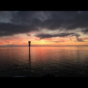 Meet your Posher, Julian